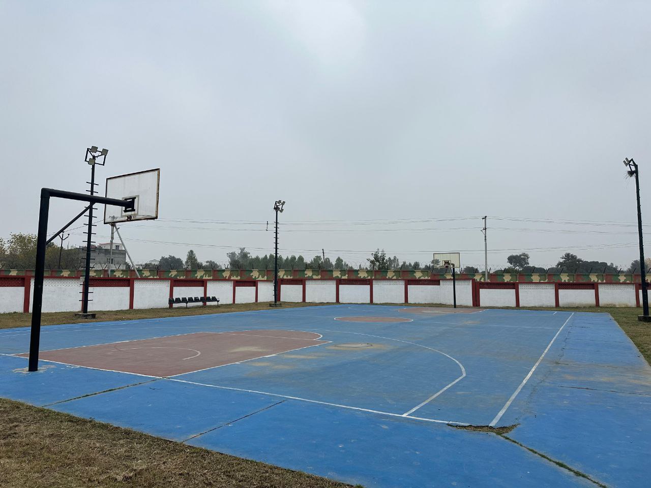 Gallery Image 8